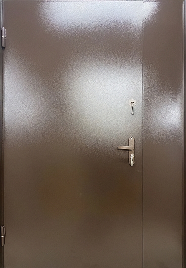 Металлическая дверь с боковой вставкой и полимерным покрытием коричневого цвета